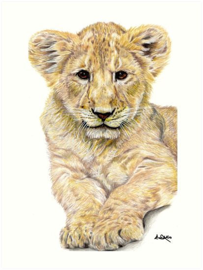 413x549 Cute Lion Cub Pencil Drawing Art Prints - Lion And Cub Drawing