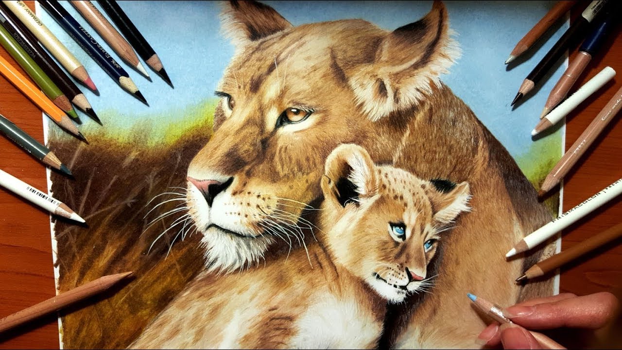 1280x720 Speed Drawing Lioness And Lion Cub Jasmina Susak - Lion And Cub Drawing