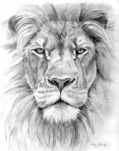 236x298 Lion N Lamb Conestoga, Pa - Lion And Lamb Drawing