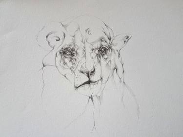 375x281 Lion And Lamb Drawing - Lion And Lamb Drawing