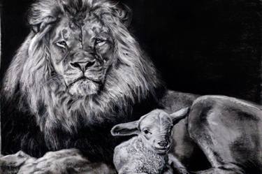 375x249 Lion And The Lamb Drawing - Lion And Lamb Drawing