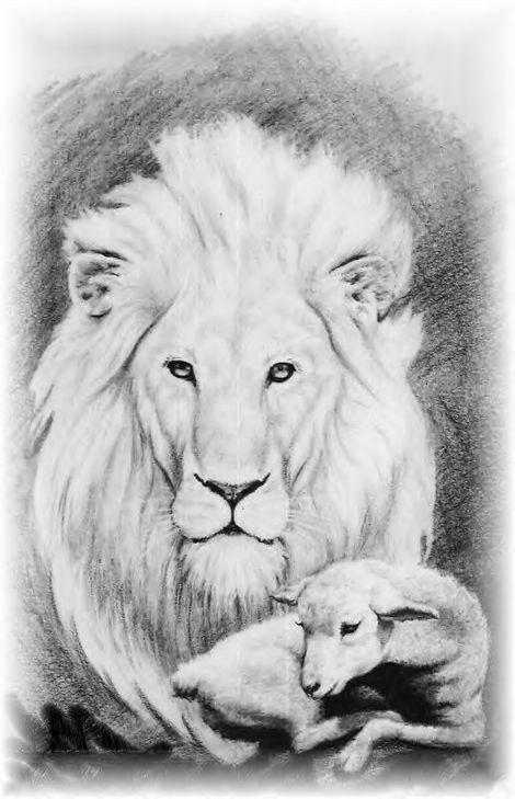 470x729 Lion And The Lamb Illustration - Lion And Lamb Drawing