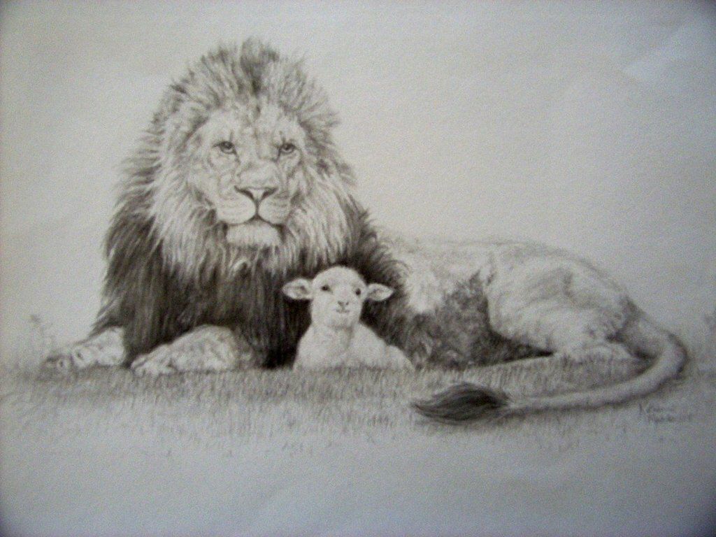 1024x768 Lion And The Lamb Tattoo Possibly Inked Tattoos, Lamb - Lion And Lamb Drawing