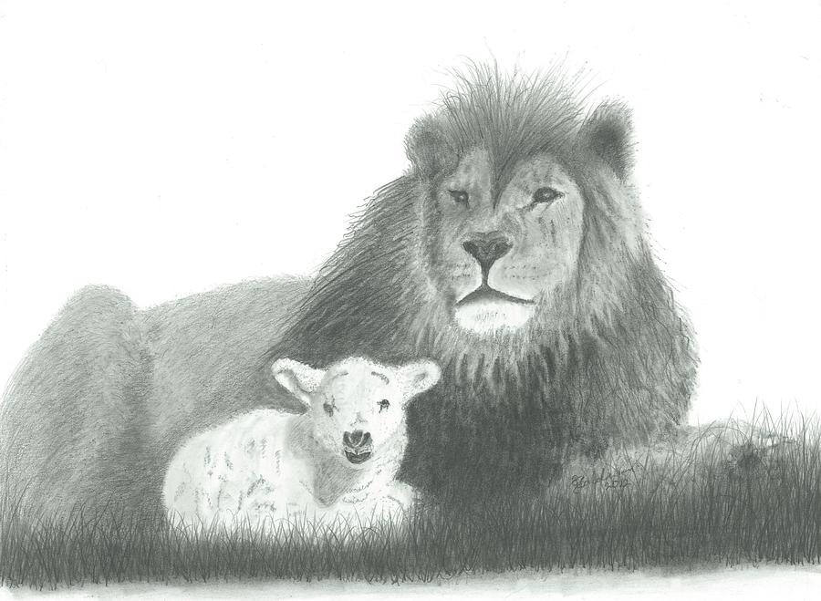 900x659 The Lion And The Lamb Drawing - Lion And Lamb Drawing