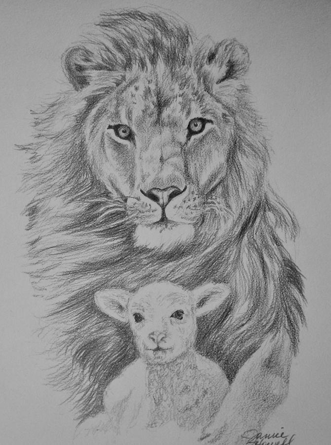 671x900 The Lion And The Lamb Drawing - Lion And Lamb Drawing