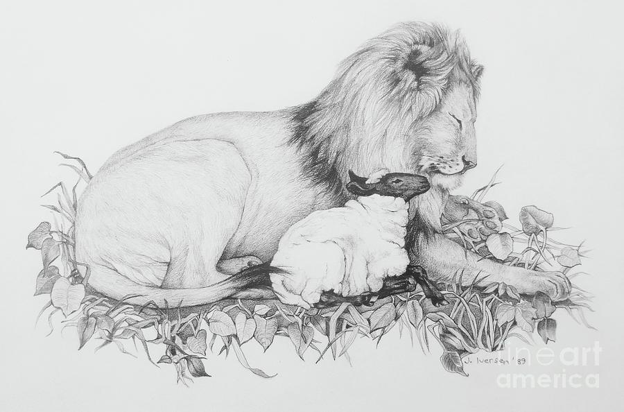 900x594 The Lion And The Lamb Drawing - Lion And Lamb Drawing