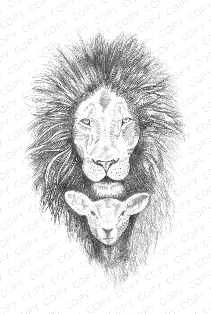 691x1024 Coloring Pages Ashley Cameron - Lion And Lamb Drawing