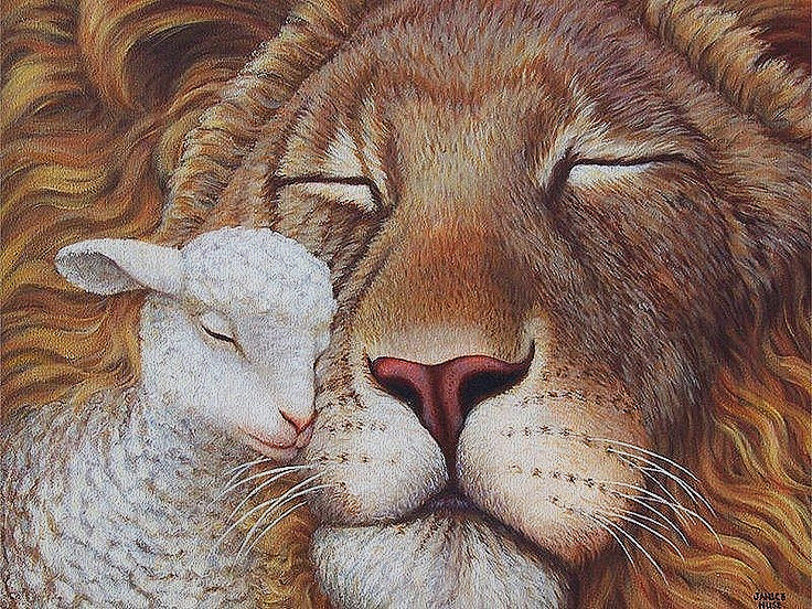 736x552 Lion And Lamb Drawing New Best Lion Of Judah Lamb Of God - Lion And Lamb Drawing