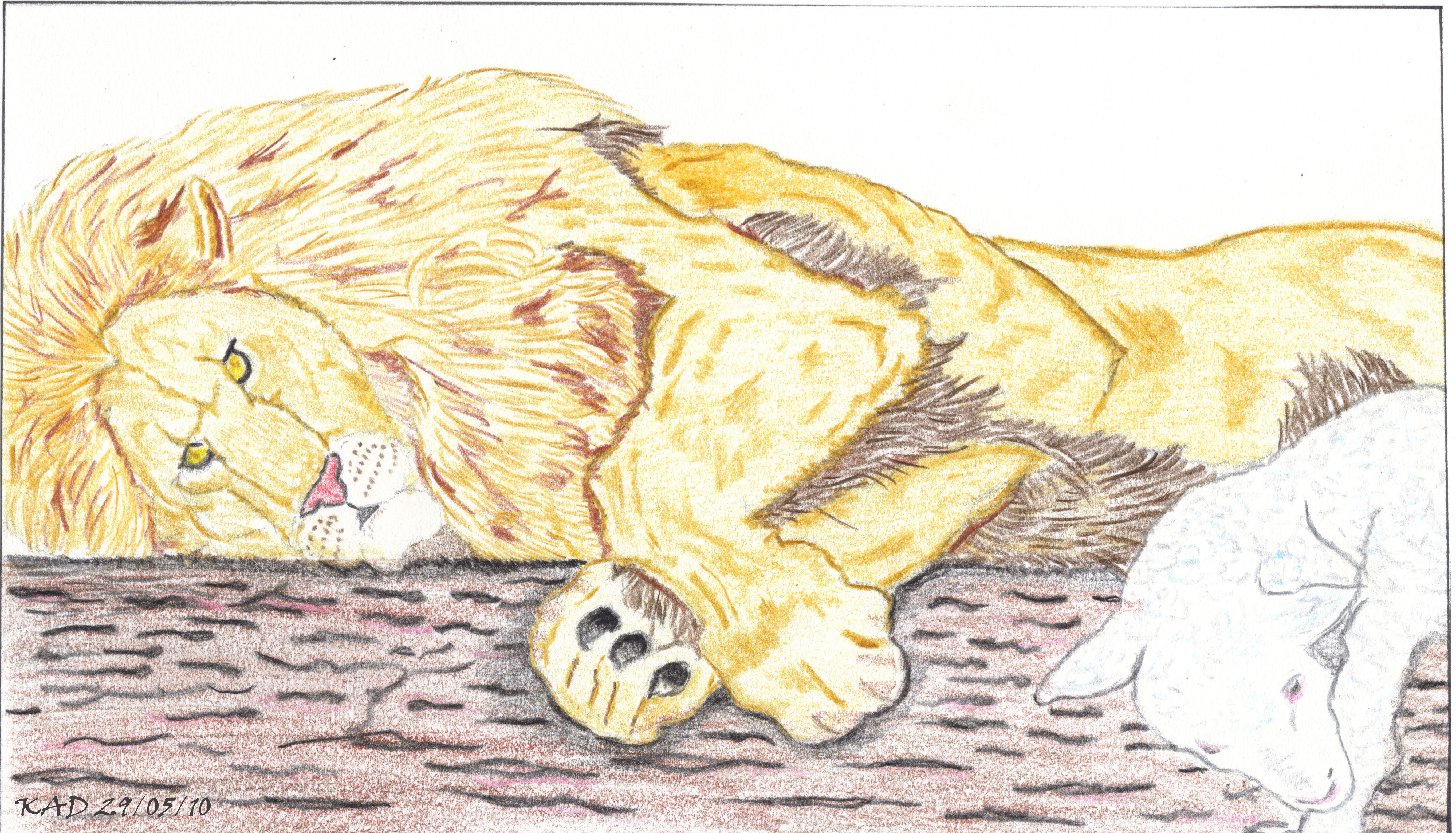 5454x3120 Lion And Lamb Drawing Pictures Lion And Lamb Painting Drawing Artist - Lion And Lamb Drawing