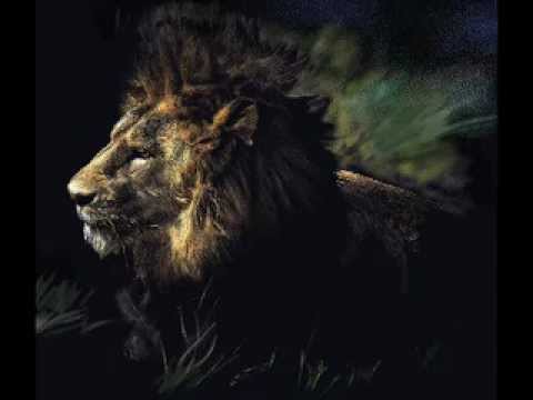 480x360 Lion Lamb Drawing - Lion And Lamb Drawing