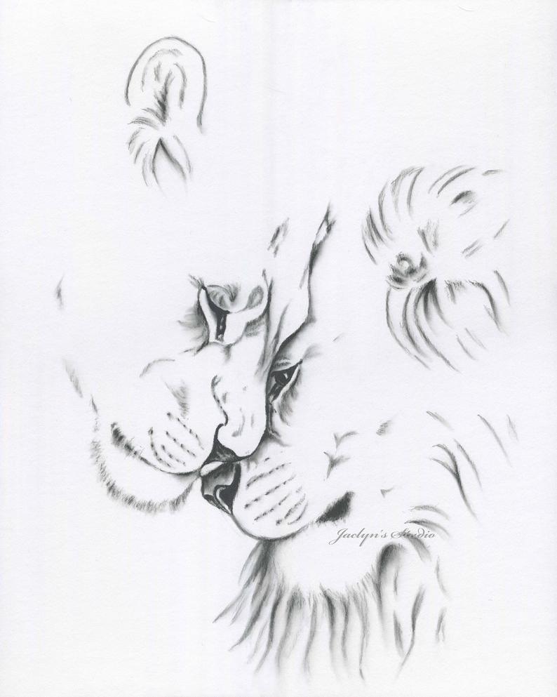 794x993 Charcoal Lion Drawing Print Lion Sketch Etsy - Lion And Lioness Drawing