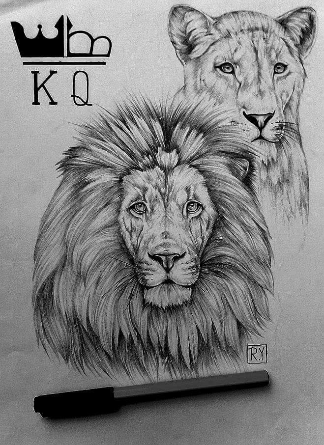 Lion And Lioness Drawing at Explore collection of