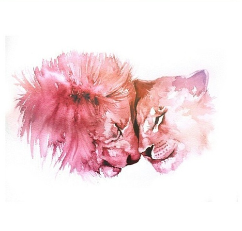 500x476 Animals, Art, Drawing, Lion, Lioness, Love - Lion And Lioness Drawing