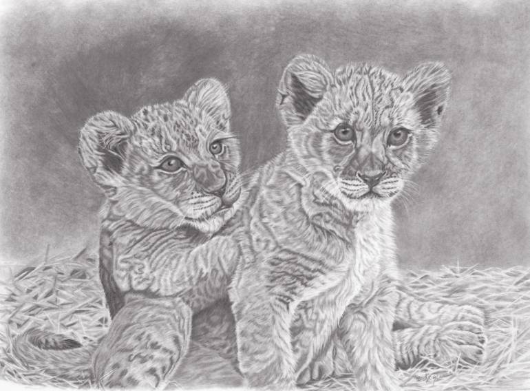 770x568 Lion Cubs Drawing - Lion Black And White Drawing