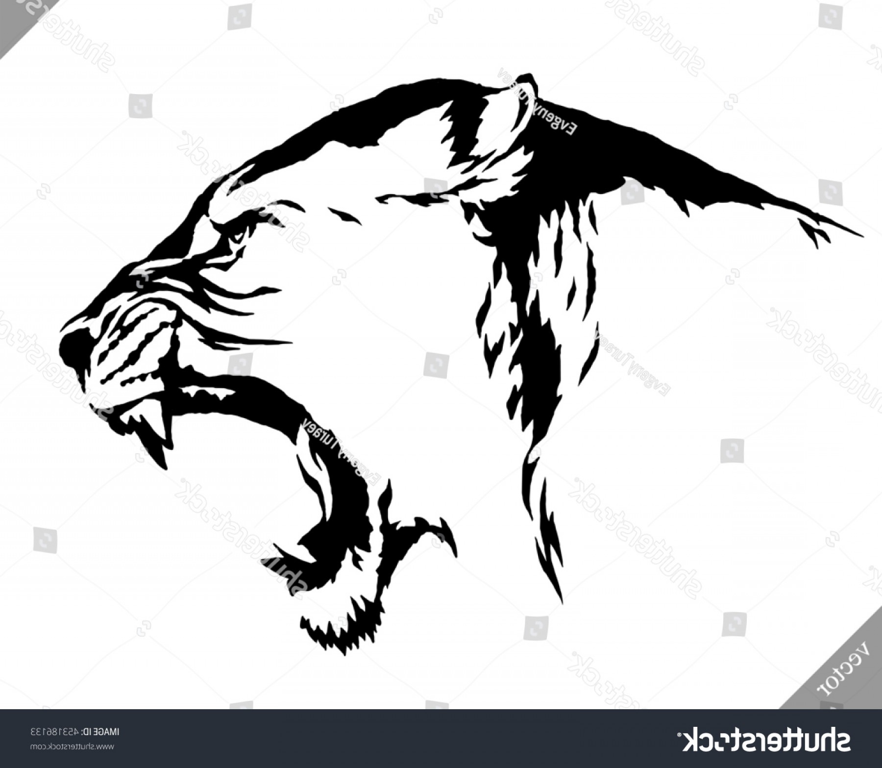 1800x1567 Lion Vector Shape Drawings Arenawp - Lion Black And White Drawing