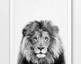 340x270 Lion Print Etsy - Lion Black And White Drawing