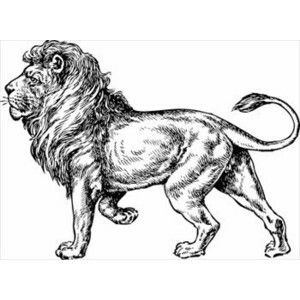 300x300 Really Nice Full Body Sketch Of A Lion Cute - Lion Body Drawing