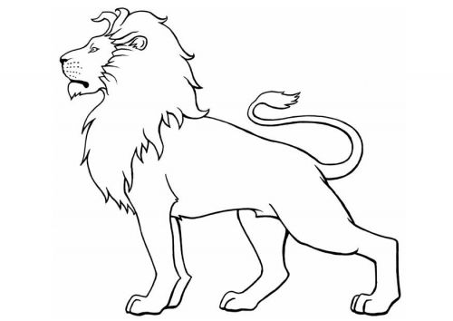 500x354 The Outline Of A Lion With A Quote Or Something Going Through It - Lion Body Drawing