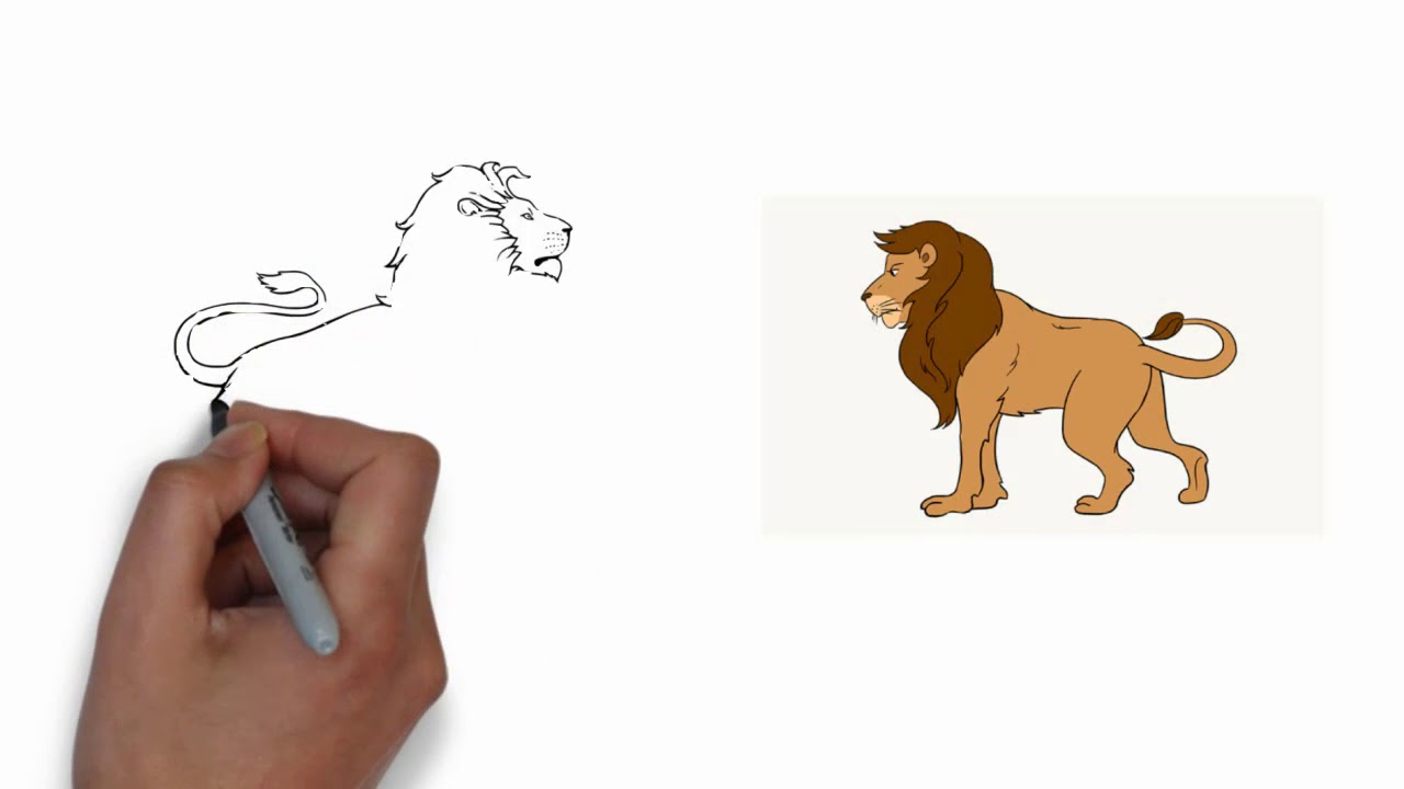 1280x720 We Drawing How To Drawing A Lion Full Body - Lion Body Drawing
