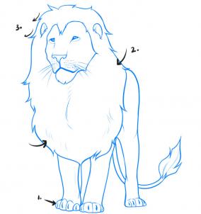284x302 How To Draw A Lion, Step - Lion Body Drawing
