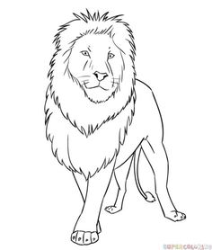 236x278 Best Cartoon Lion Images Animal Drawings, Drawings, Sketches - Lion Cartoon Drawing