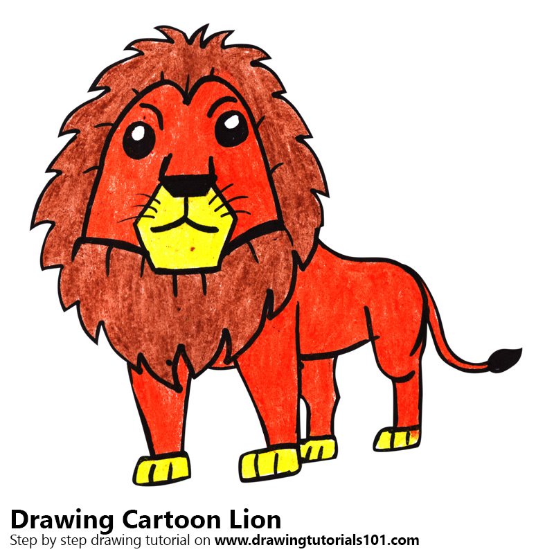800x800 Learn How To Draw A Cartoon Lion - Lion Cartoon Drawing