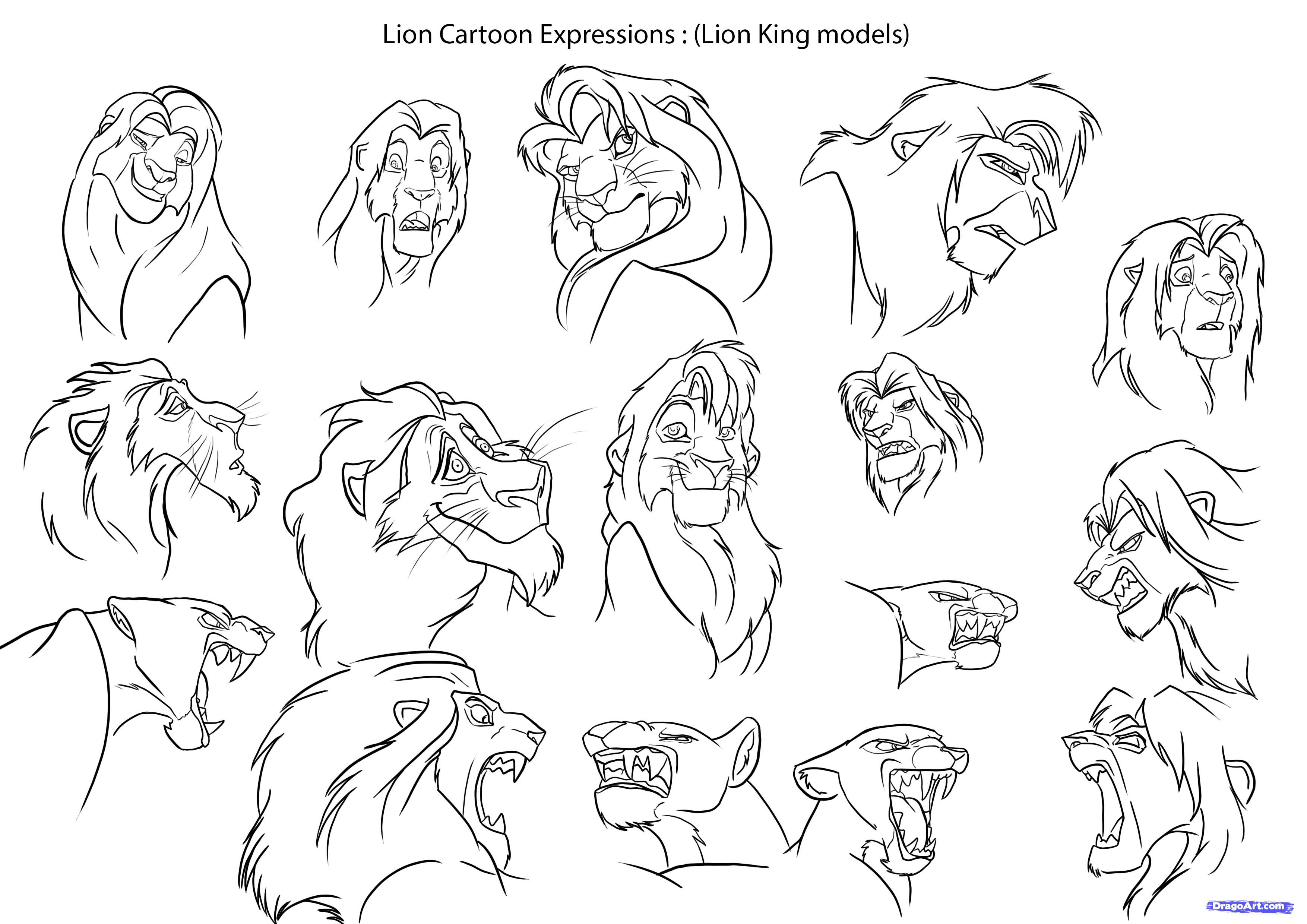 3508x2480 Draw Cartoon Lions, Step - Lion Cartoon Drawing