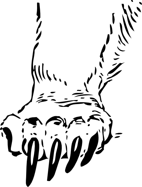 456x600 Grizzly Bear Paw Clip Art - Lion Claw Drawing