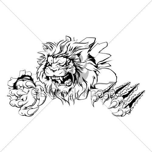 Lion Claw Drawing at Explore collection of Lion