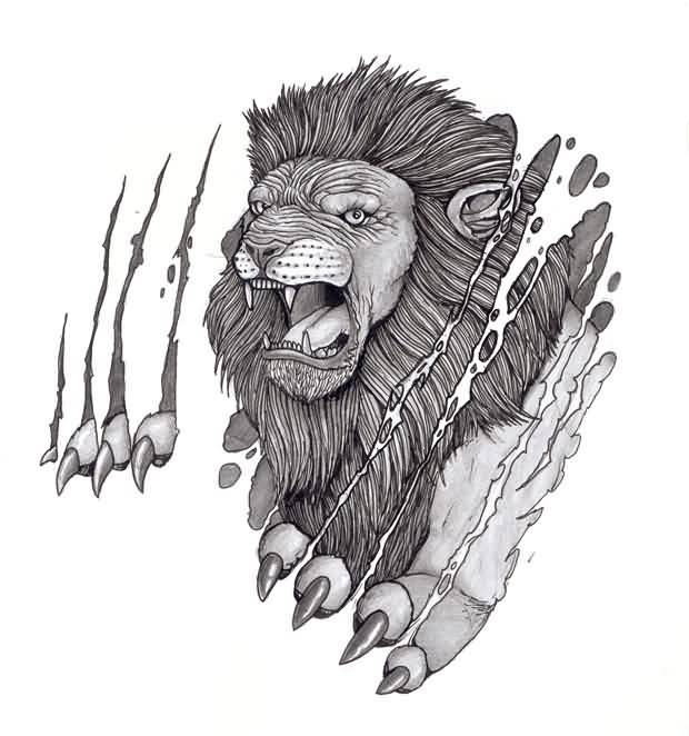 Lion Claw Drawing at Explore collection of Lion