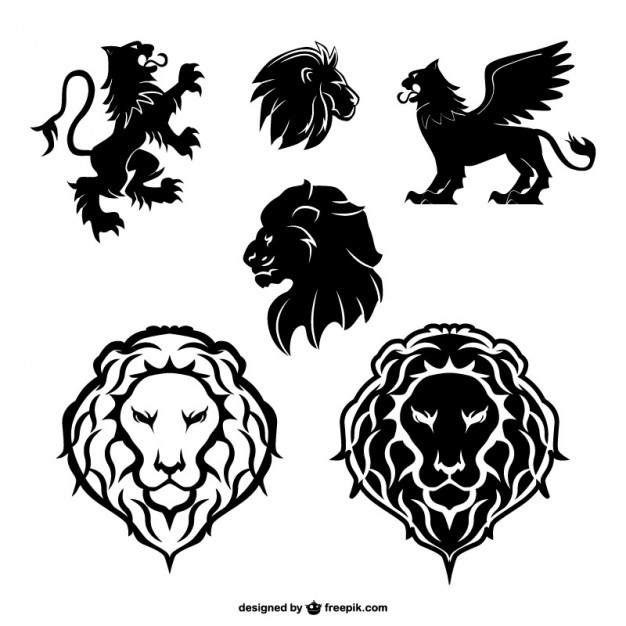 626x626 Lion Vectors, Photos And Free Download - Lion Claw Drawing