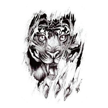 Lion Claw Drawing at PaintingValley.com | Explore collection of Lion ...