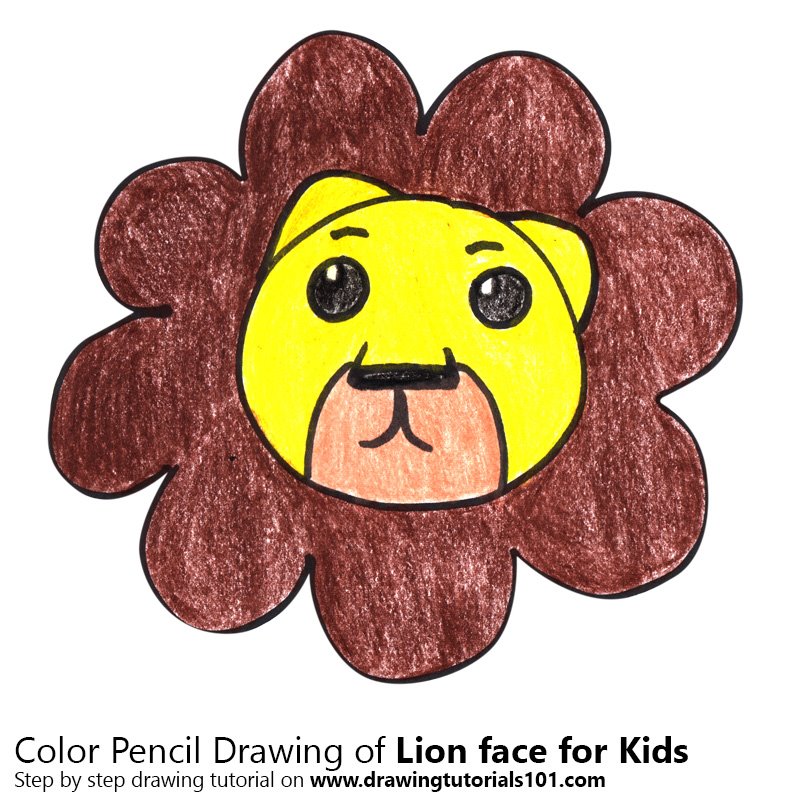800x800 Lion Face For Kids Colored Pencils - Lion Color Drawing