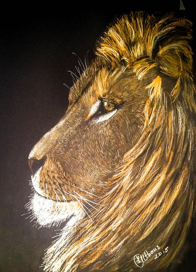 650x900 Lion In Color Drawing - Lion Color Drawing