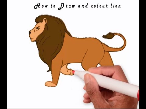 480x360 How To Draw And Colour Lion Learn To Draw Lion - Lion Color Drawing