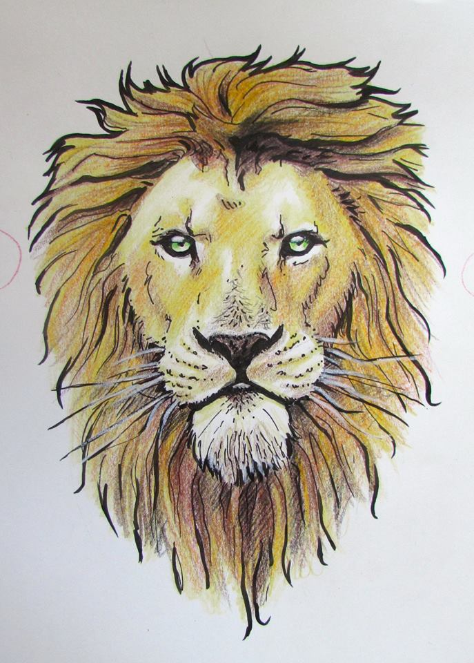 Lion Colour Drawing at Explore collection of Lion