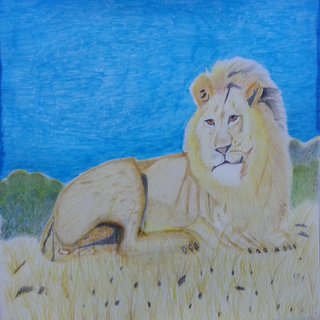 320x320 Buy Lion Colour Pencil Sketch Online - Lion Colour Drawing