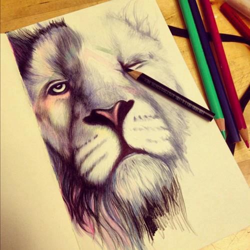 500x500 Desenhos, Art, Colour, Draw - Lion Colour Drawing