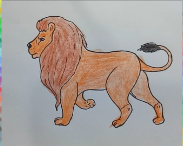 370x297 Draw A Lion And Colour It Archives - Lion Colour Drawing