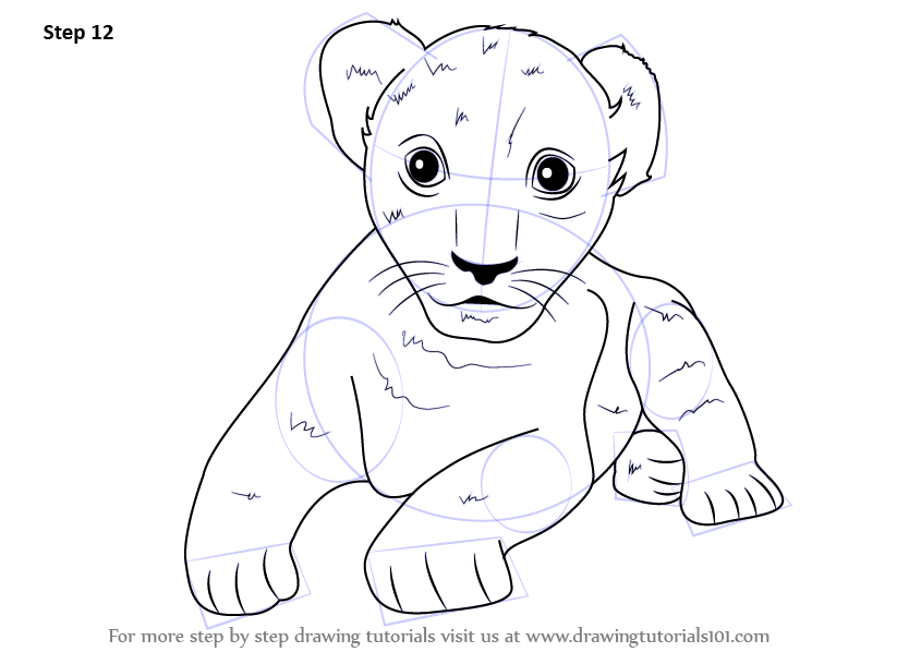 845x598 Learn How To Draw A Lion Cub - Lion Cub Drawing