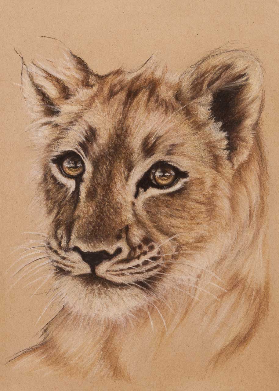 914x1280 Lion Cub Pastel Prints - Lion Cub Drawing