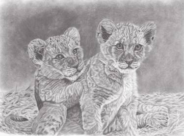 375x277 Lion Cubs Drawing - Lion Cub Drawing