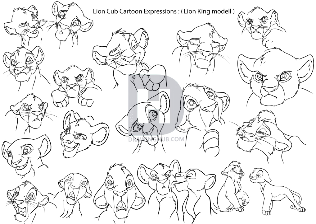 1018x720 How To Draw Lion Cubs, Step - Lion Cub Drawing
