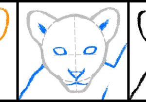 300x210 How To Draw A Lion Step - Lion Cub Drawing Easy