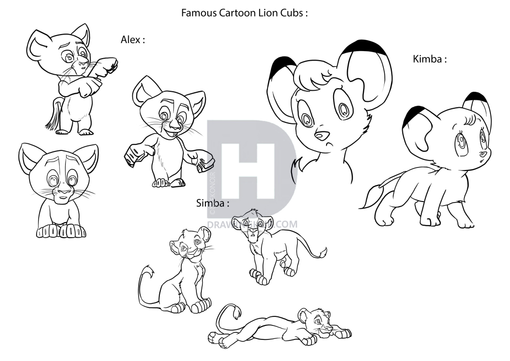 1018x720 How To Draw Lion Cubs, Step - Lion Cub Drawing Easy