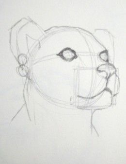 260x337 How To Draw A Lion Cub View Art Drawings, Art, Pencil Drawings - Lion Cub Drawing Easy