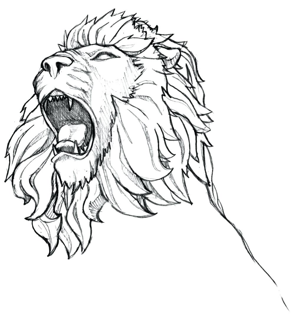 1024x1087 Lion Drawing Lion Drawing - Lion Cub Drawing Easy