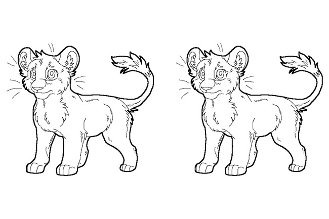 650x433 Lion Template - Lion Cub Drawing Easy