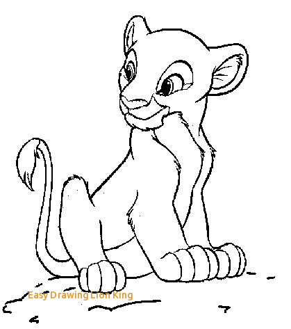 Lion Cub Drawing Easy At PaintingValley.com | Explore Collection Of ...