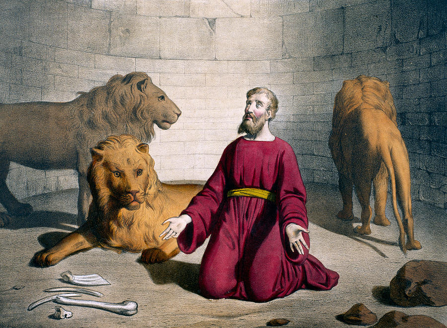900x661 daniel in the lions' den drawing - Lion Den Drawing